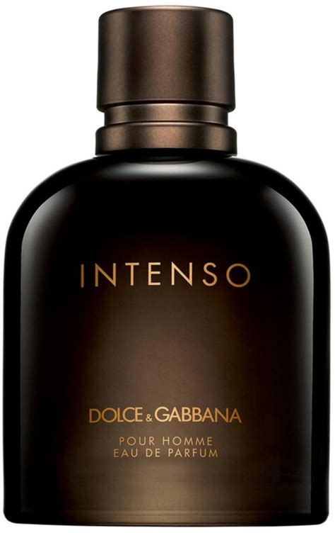 dolce gabbana intenso for men|intenso Dolce & Gabbana price.